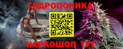 spice Кимры